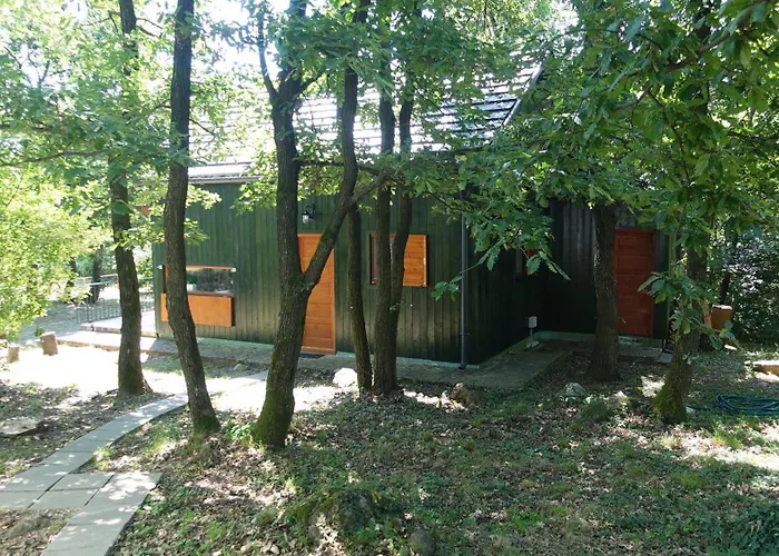 Toelgyes Lak, Palkoeve Kovagoors